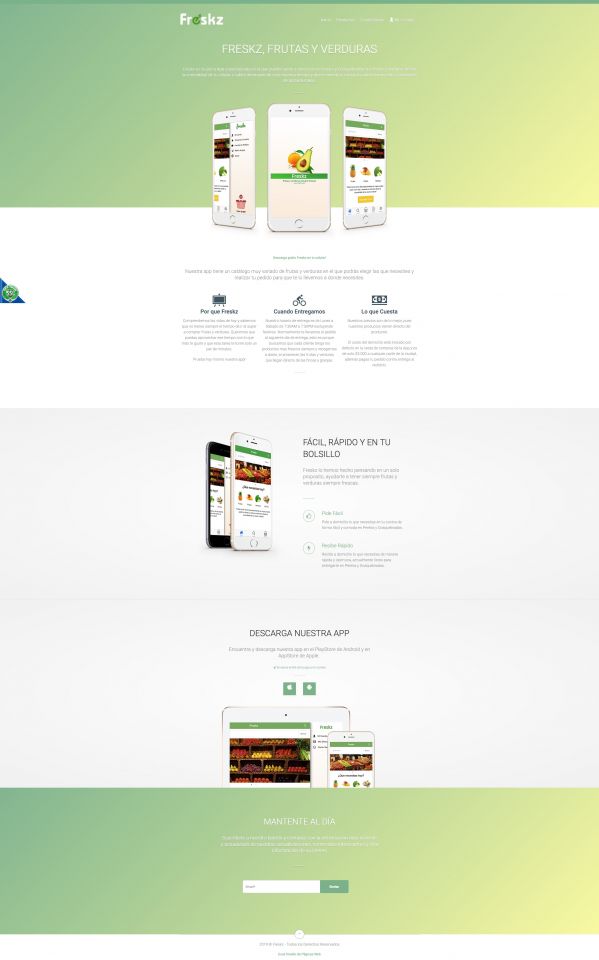 Diseño Web Freskz Freskz