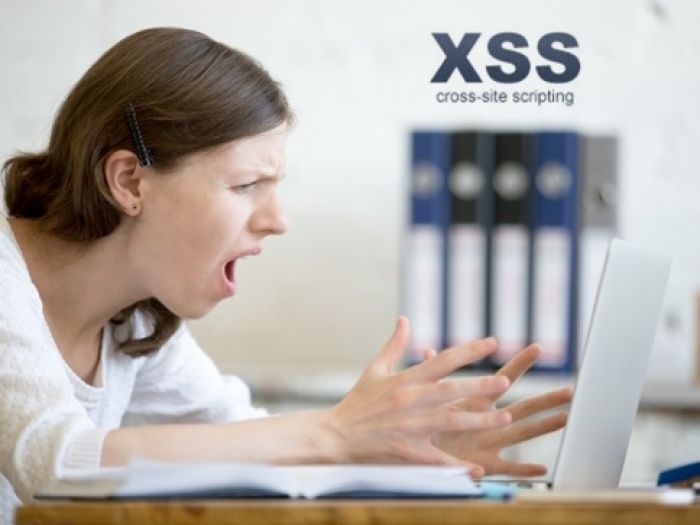 Cerrada vulnerabilidad de XSS en PageGear
