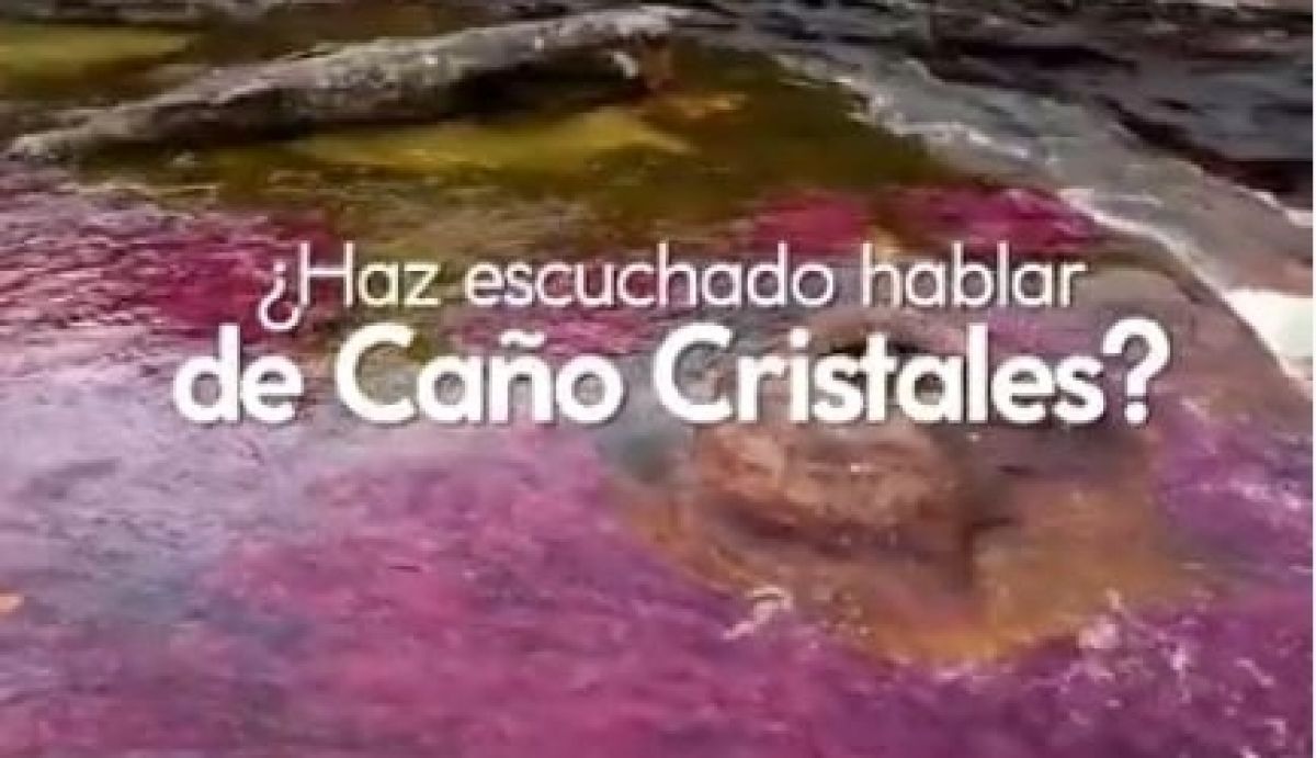 Recomendaciones de viaje Caño Cristales