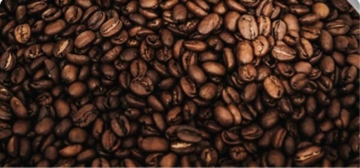 Lorem ipsum dolor sit amet consectetur Lorem ipsum dolor sit amet consectetur 2